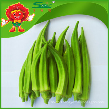 wholesale frozen whole okra